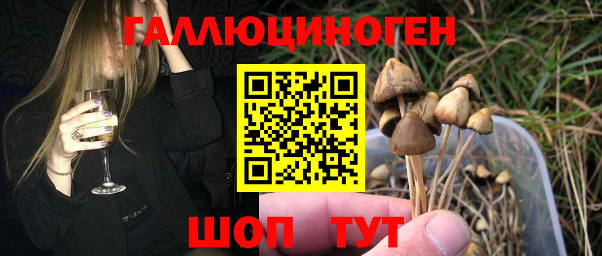Псилоцибиновые грибы Magic Shrooms Сыктывкар